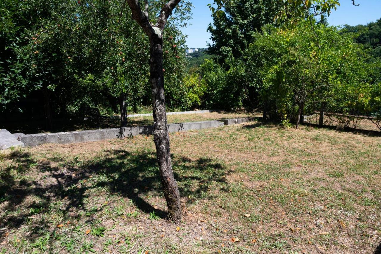 Large House Close To City Center Limoges Exterior foto